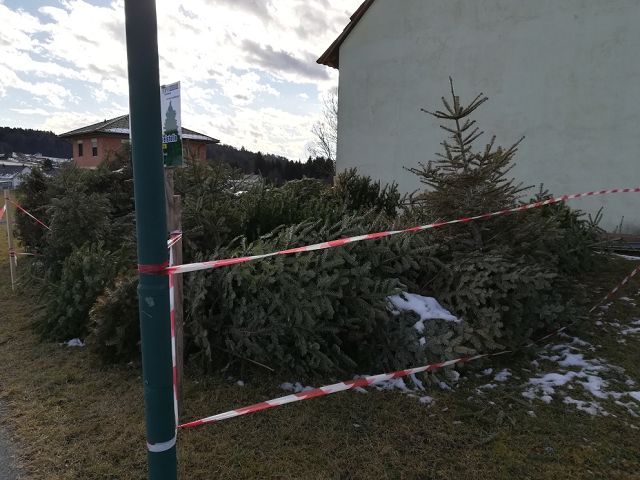 Christbaumsammelstelle3.jpg