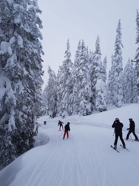 Skitag 20194