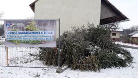 Christbaumsammelstellen2019 10