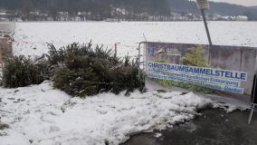 Christbaumsammelstellen2019 4