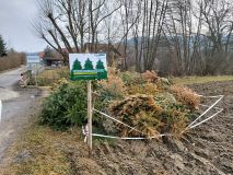 Christbaumsammelstelle2020 2